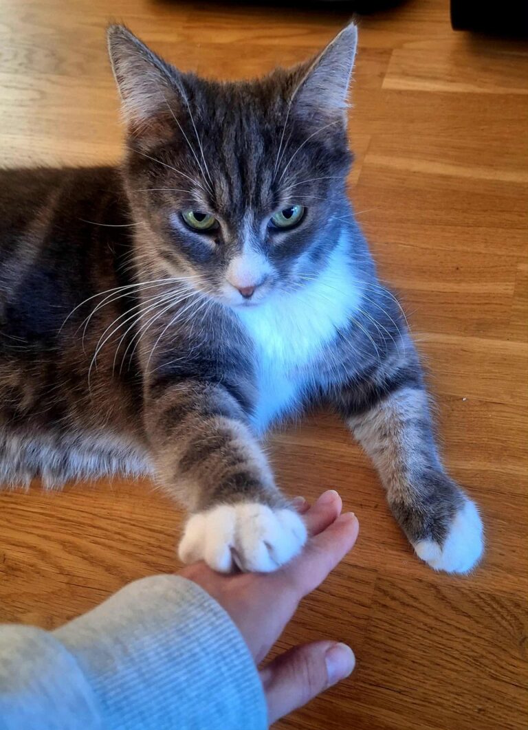 0f8f9ba8 3b80 4442 9979 93265824f27b