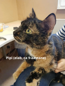 pipi (elab, ca 9 aastane)