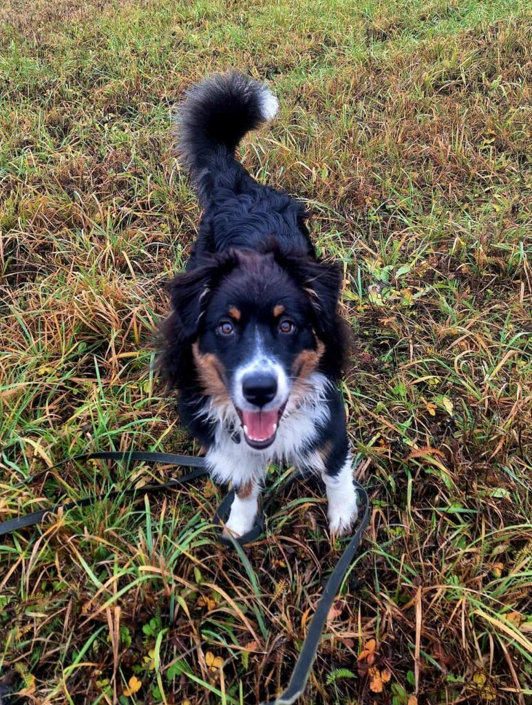 c6680139 21a4 45f5 b05d 46d84ba93241