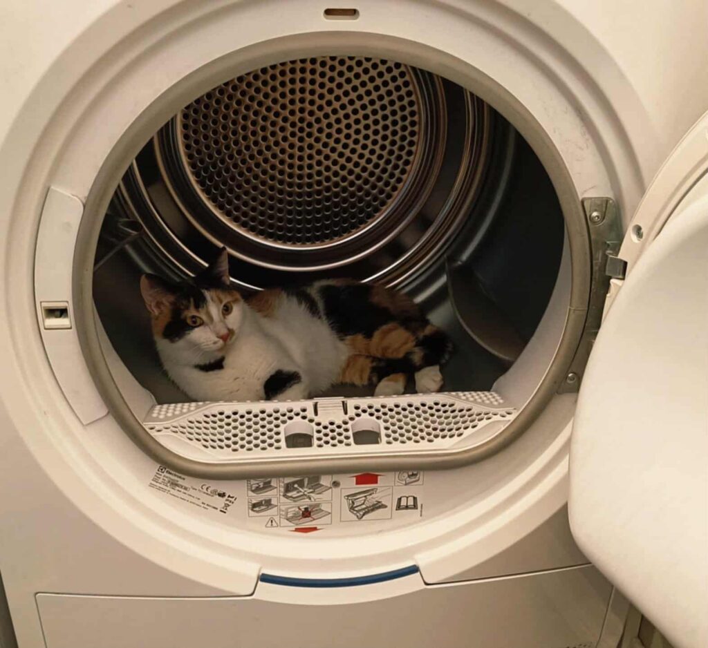 de99b788 70af 4119 a87c 7c7ebbca65e0