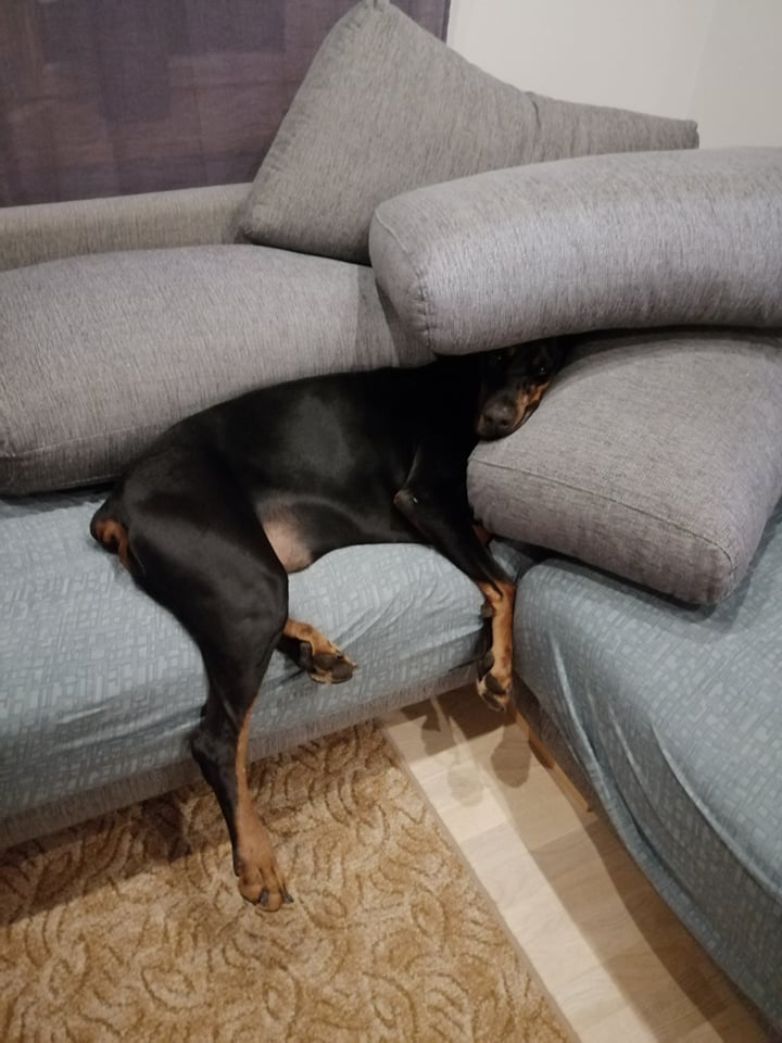 274588147 992912964685712 7299686970445043564 n