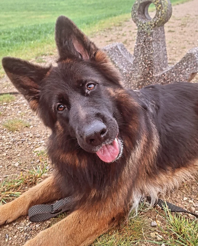 img 20251112 233044 894