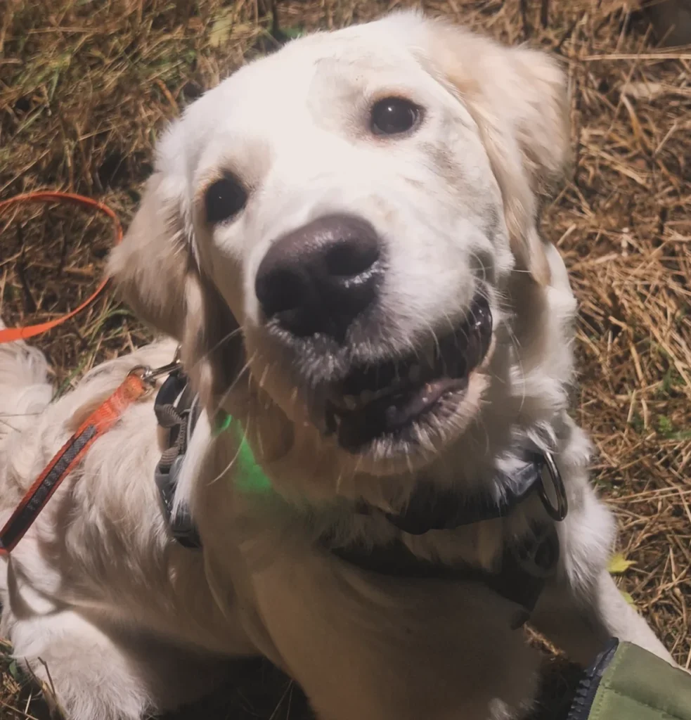 img 20251112 233044 998